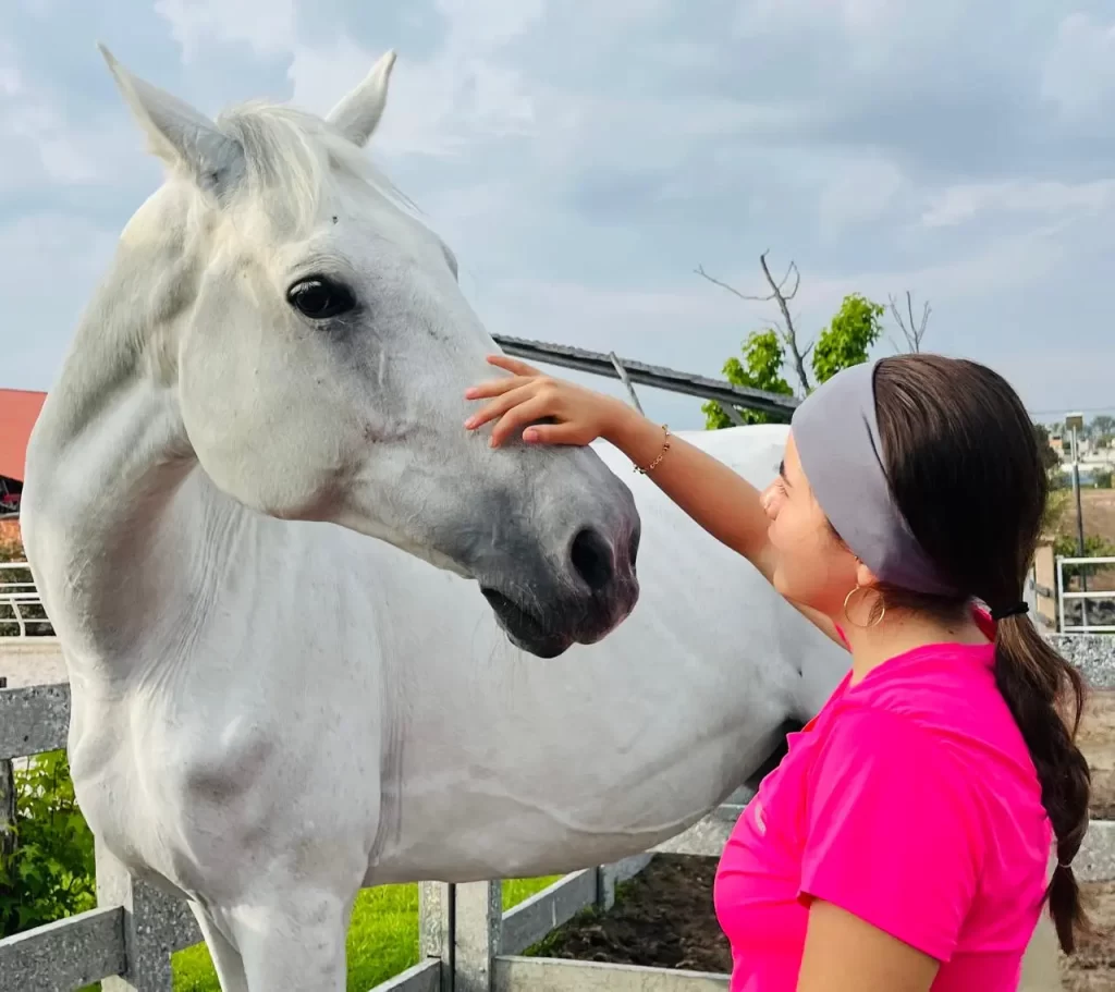 Terapia equina Puebla