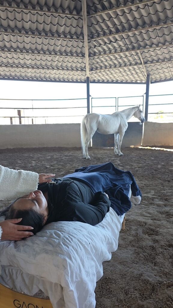 Mujer profesional experimentando liberación emocional durante barras de Access con caballos Puebla en ambiente natural