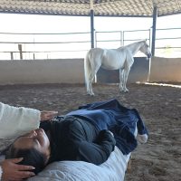 Mujer profesional experimentando liberación emocional durante barras de Access con caballos Puebla en ambiente natural